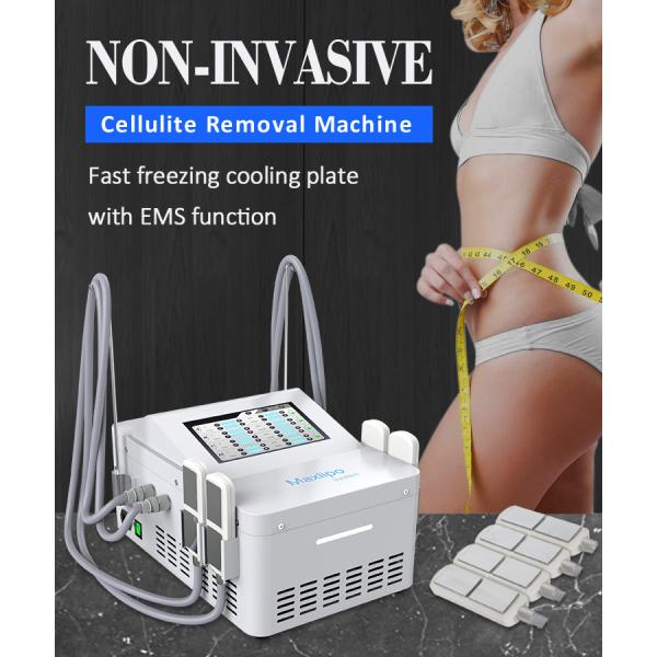 Buy 4 Cryo Cool Slimming Machine Body Shaping Pad With EMS at wholesale prices