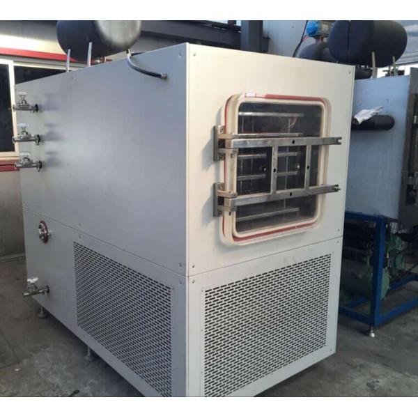 TPV-200F freeze dryer for fruit and vegetable