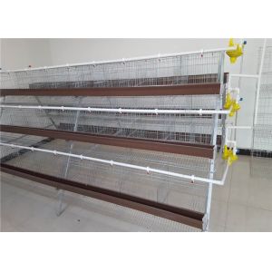 1.88m , 2m , 2.15m , 3m Length Battery Cage For Layers Design For Mozambique
