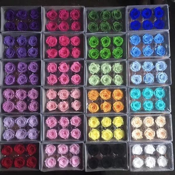 Ecuador preserved fresh roses long lasting high end rose buds for flower box gift