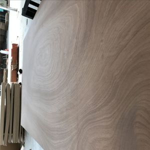 1220*2440mm Sapele Faced Plywood