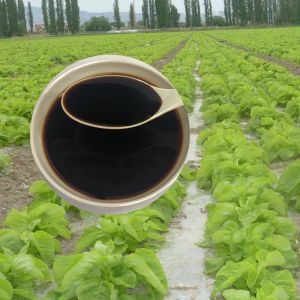 Quality Soybean Source Hydrolysate Protein Amino Acid Liquid 30% Agricultural Fertilizer for sale