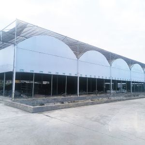 Nursery Commercial Blackout System Plastic Panda Film Multi-span Greenhouse