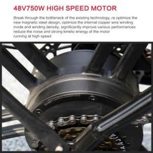 60km Aluminium Alloy 21 Speed Electric Bike Double Disc Brake