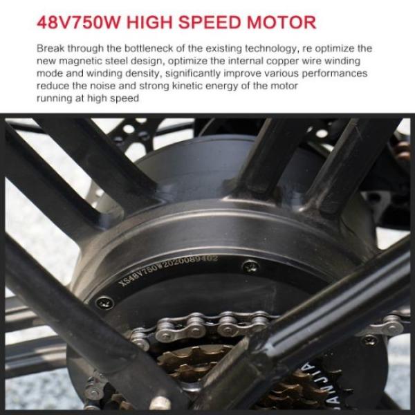 60km Aluminium Alloy 21 Speed Electric Bike Double Disc Brake