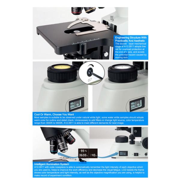 OPTO-EDU A12.0911 50mm Binocular Biological Microscope