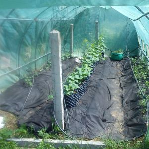 New Design Air Flower Planter Pots Disposable pruning Root Pot