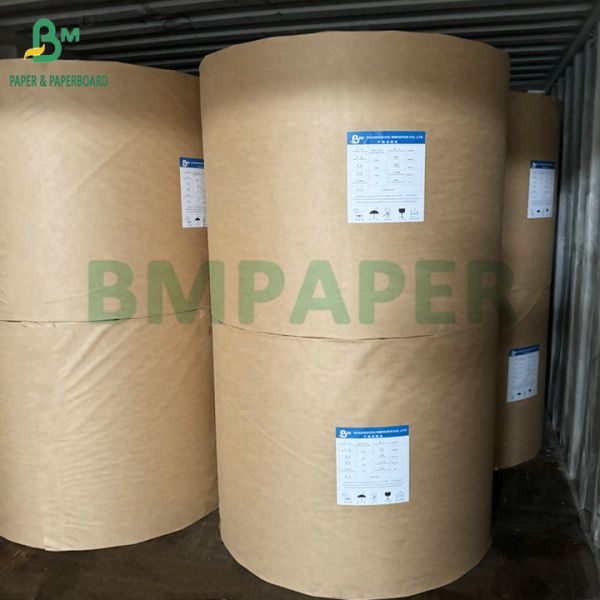 Biodegradable & Microwave Safe Paperboard For Making Disposable Bowls For Salad