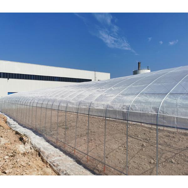 32mm Pipe Diameter Vegetable Green House Customized For Optimal Growth Conditions