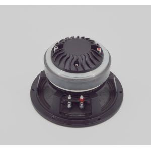 95dB Dual 8 Inch Coaxial Loudspeaker For Meeting Room
