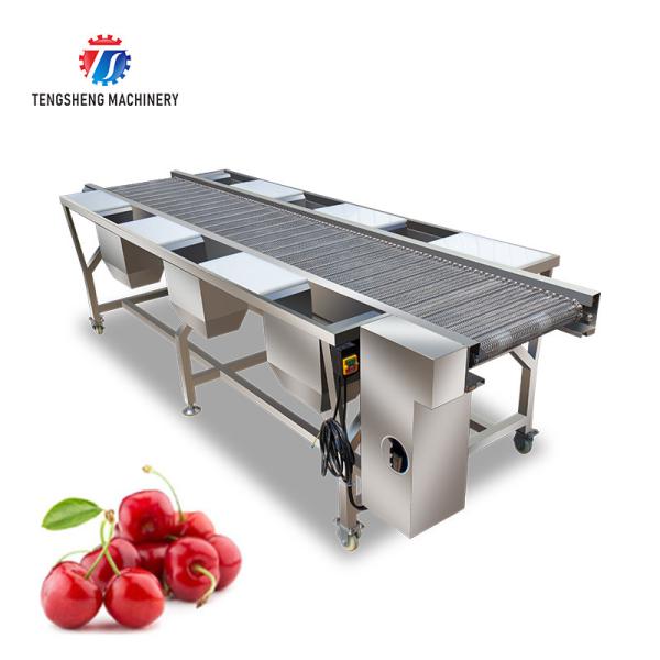 Buy Customized Vegetable Processing Machine Fruit Sorting Table at wholesale prices