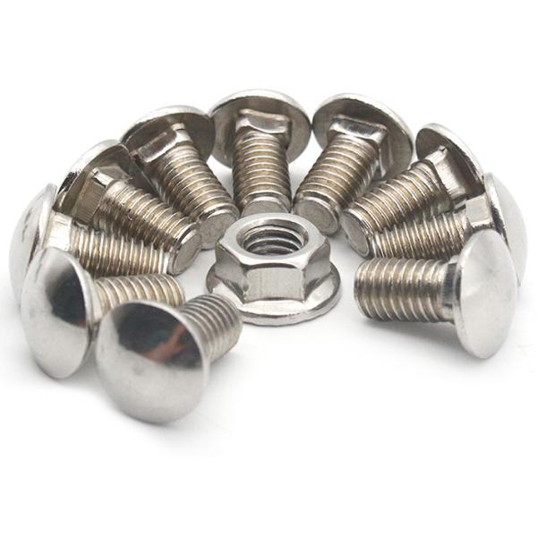 ISO9001 Certified Stainless Steel Carriage Bolt DIN603 for Steel Industry