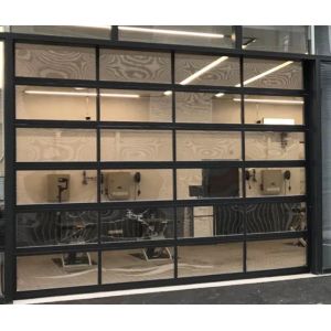 China Commercial Aluminum Sectional Door With Glass Panels And Powder Coating Remote Control on sale