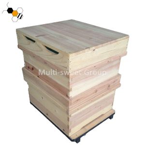 Multi Sweet Non Toxic Two Levels Fir Bee House Box