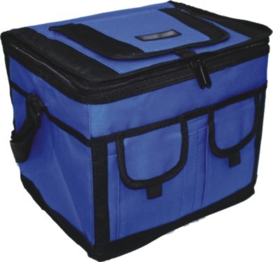 Buy Insulated cooler lunch bag at wholesale prices