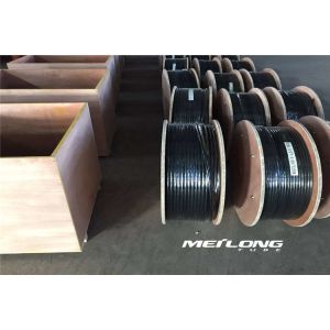 UNS S31603 Capillary Coiled Tubing Thermoplastic Encapsulation Material