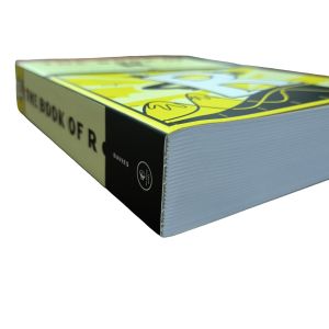 The Book of R Computer Coding Language Educational books