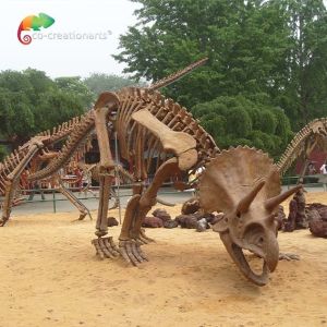 Road Decoration Dinosaur Triceratops Skeleton