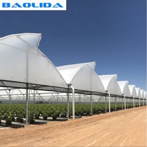 China High Multi Span Strong Plastic Greenhouse Saw Tooth Roof Ventilation on sale