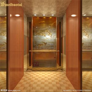Waterproof Sustainable Elevator Stainless Steel Sheet 1000x2000mm