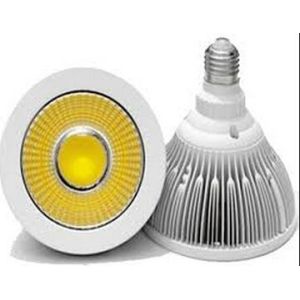 Quality 18W COB PAR38 LED spotlight for sale