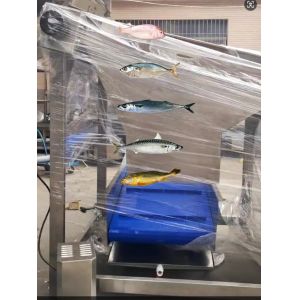 Professional Fish Automatic Grading Line And Sizing Other Small Fish