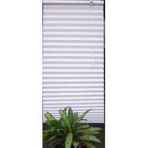 Contemporary Windows Shades Blinds Beige with Pleated Venetian style