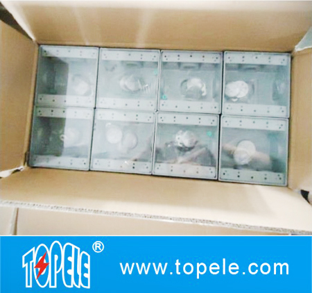 Weatherproof Electrical Boxes Two Gang Outlet Branch Circuit Wiring