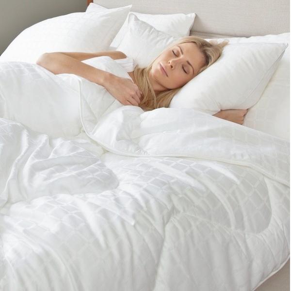 Buy Supply High Quality Hotel Goose Down Quilt at wholesale prices