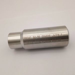 China Forged Pipe Fittings Swaged Nipple Stainless Steel 316L Sch80 2 on sale