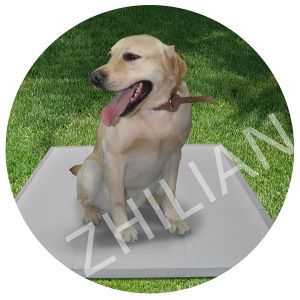 Pet Training Pad Manufacturing Machine 300 m / min