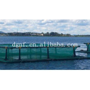 Large Diameter HDPE Plastic Pipe Circular Fish Cage for Aquaculture with CE