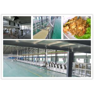Quality ISO Secured Fried Instant Noodle Production Line for sale