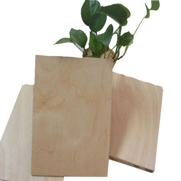 Buy Hardwood CARB 5mm 12mm Formica Faced Birch Plywood at wholesale prices