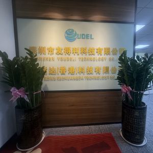 UDEL Chips Tech Co., Ltd.