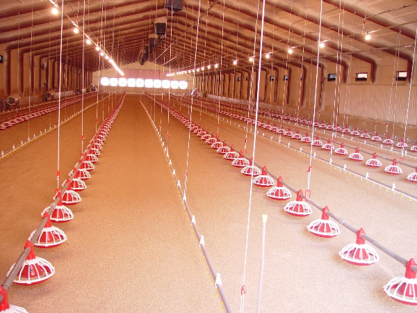 2000lbs Portable Poultry Winch For Automatic Pan Feeding System