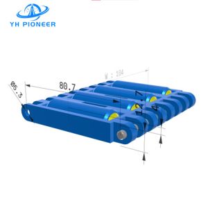 Quality Customizable Roller Conveyor Chain With POM And PP Material Wear Resistant for sale