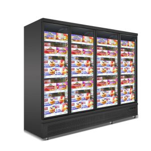 Carel Thermostat Commercial Upright Freezer For Frozen Food