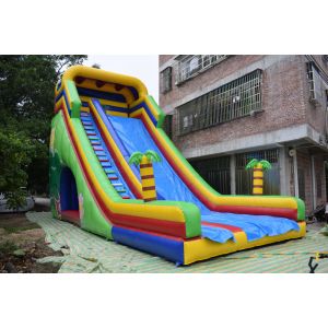 Simple Large Inflatable Dry Slide / Bright Colour Palm Tree Slides