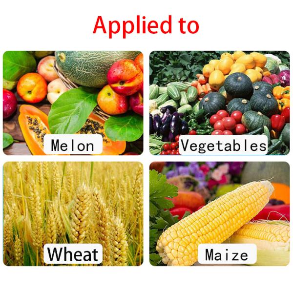 Amino Acid Chelated Ca Mg Organic Liquid L-Amino Acid For Plants