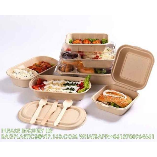 Wholesale Sugarcane Bagasse Pulp Lunch Box Takeaway Food Container Diaposiable Recyclable Sugarcane Packaging Box