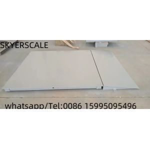 Balanza Digital Weight Machine Inox Electronic Scale Basculas Industrial 3t