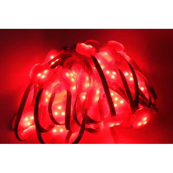 Miracle Bean 0.8W 12V IP65 30MM LED Pixel string