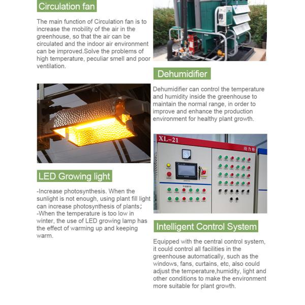 Mushroom Light Deprivation Greenhouse With Hot Dip Galvanized Steel Pipe