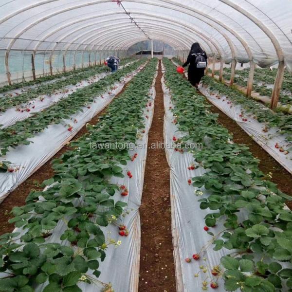 Customized Length Agricultural Ground Cover Film for Pineapple Growing Life Span 1-2 Years