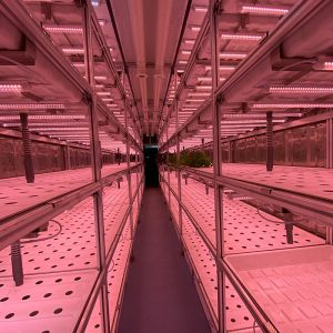LED Light Indoor Hydroponic Farm Container with Climate Control