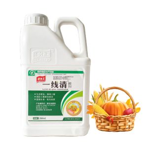 Soil Conditioner Organic Humic Fulvic Acid Powder High Concentration