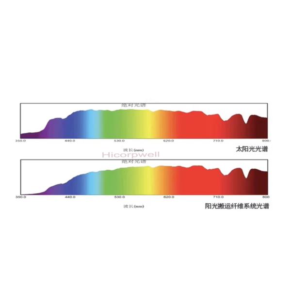 Environmentally Friendly clean renewable energy reduces carbon emissions making it an eco-friendly choice