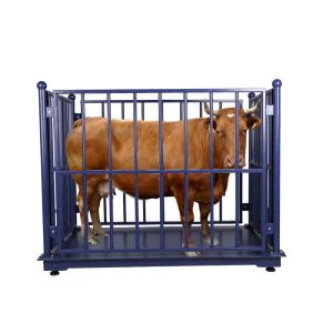 Anti Rust 3000KG Digital Livestock Scales With Fence