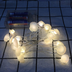Fairy String Lights Battery Powered String Lights 6.5ft 20 LED Warm White Lights